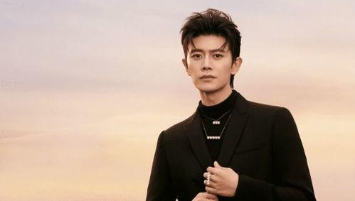 男星爆料妻子是谁图片视频,揭秘神秘妻子身份之谜  第1张