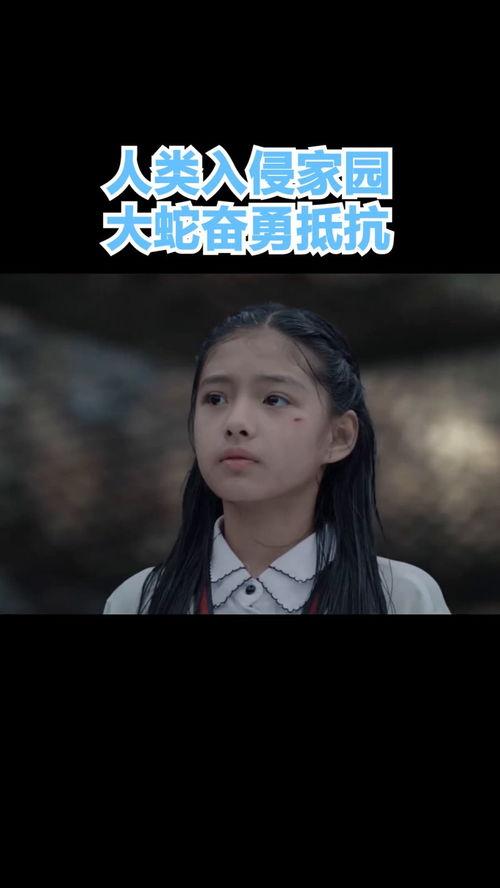 入侵家园在线观看,在线揭秘惊心动魄的入侵真相  第1张